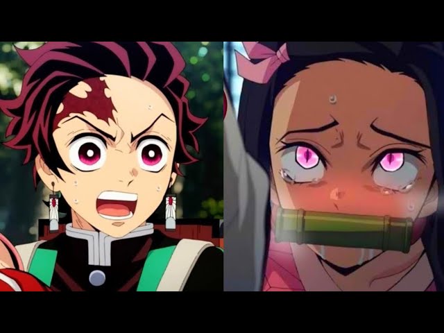 Demon Slayer Memes That Got Me Tweakin