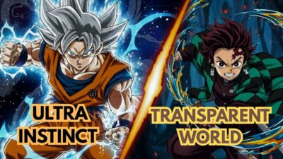 Demon Slayer Fans React to Transparent World vs Ultra Instinct